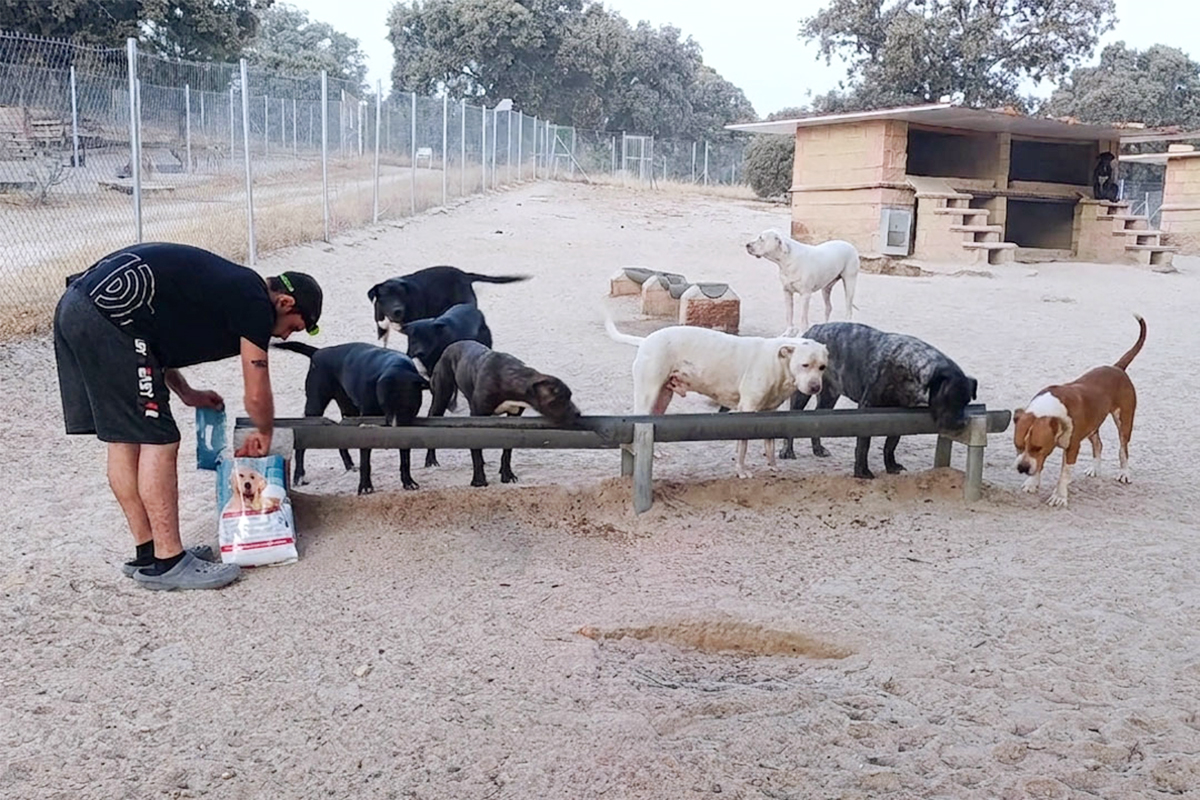 DONACIÃN