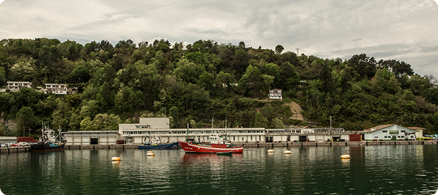 B de la Cofradía de Hondarribia