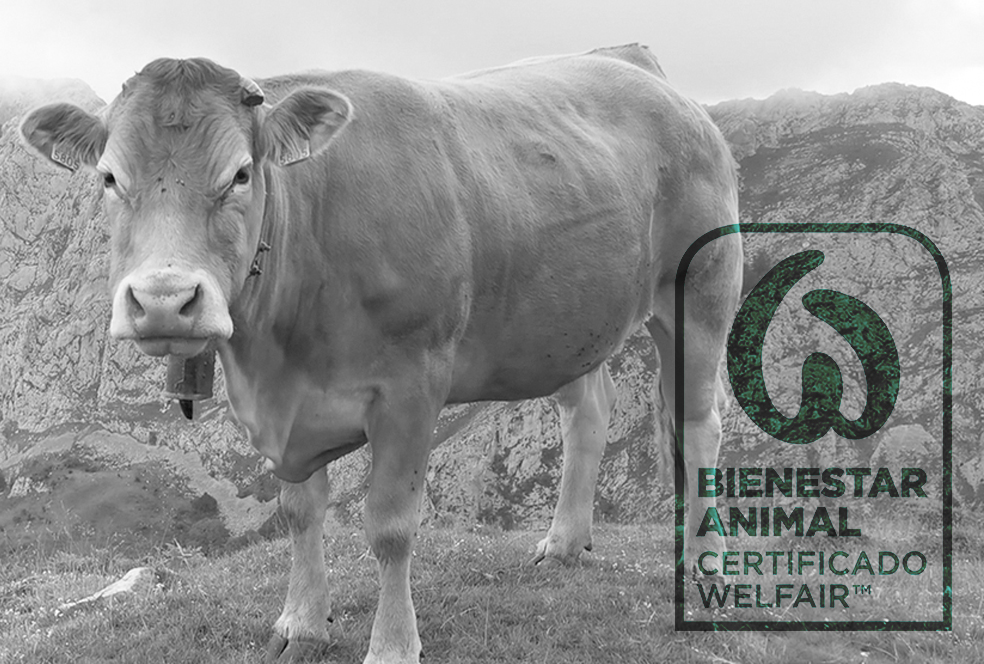 animal_welfair José Ramón Fernández de Barrena Bermejo
